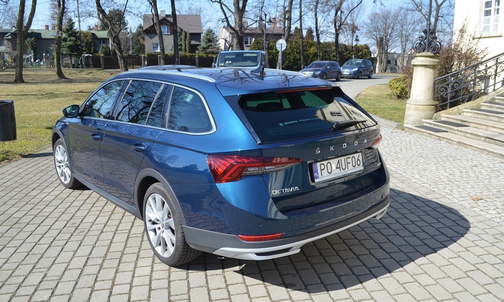 Octavia - tył