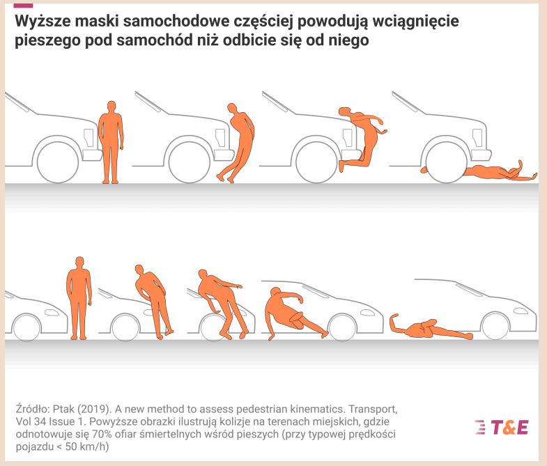 Wysoka maska samochodu - wciągnięcie pieszego pod pojazd
