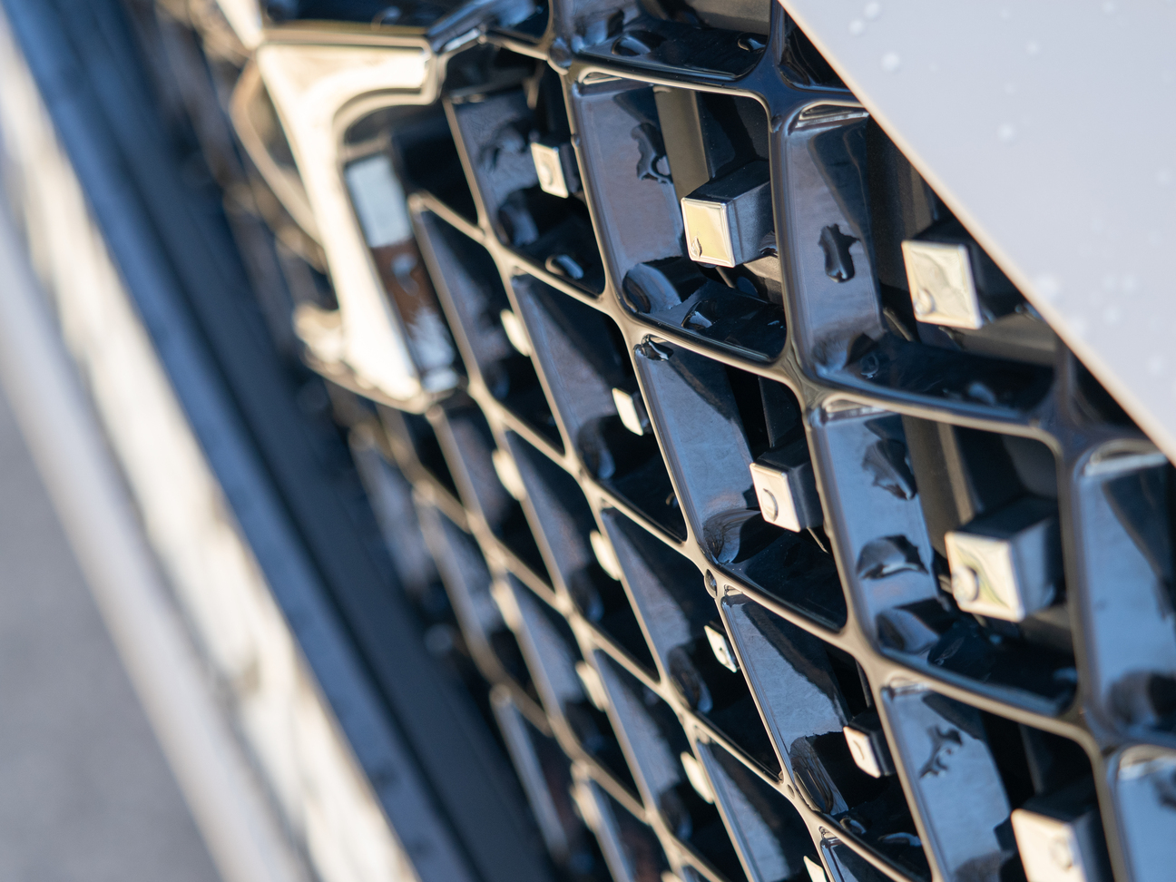 DS4 grill
