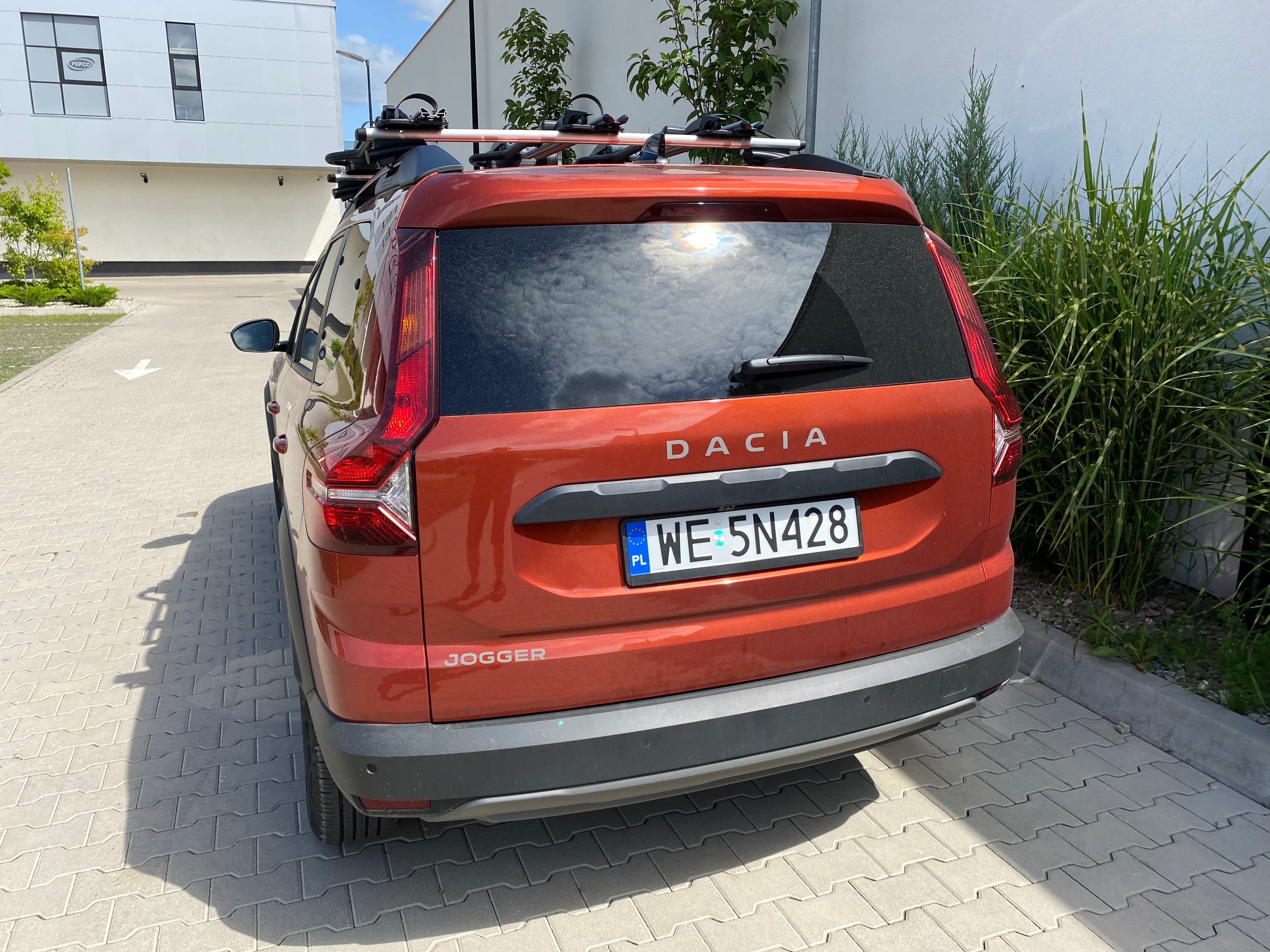 Jogger - tył