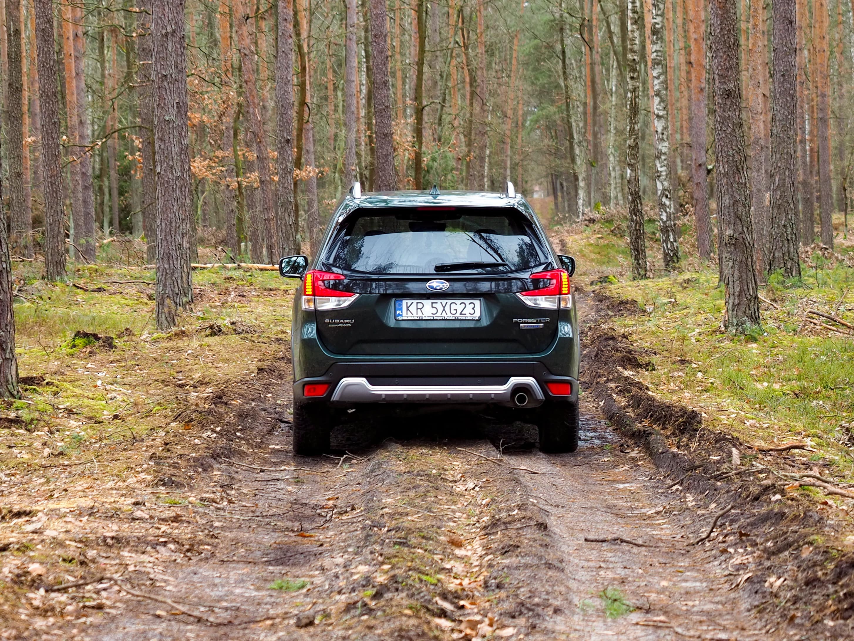 Subaru Forester 2023 tył