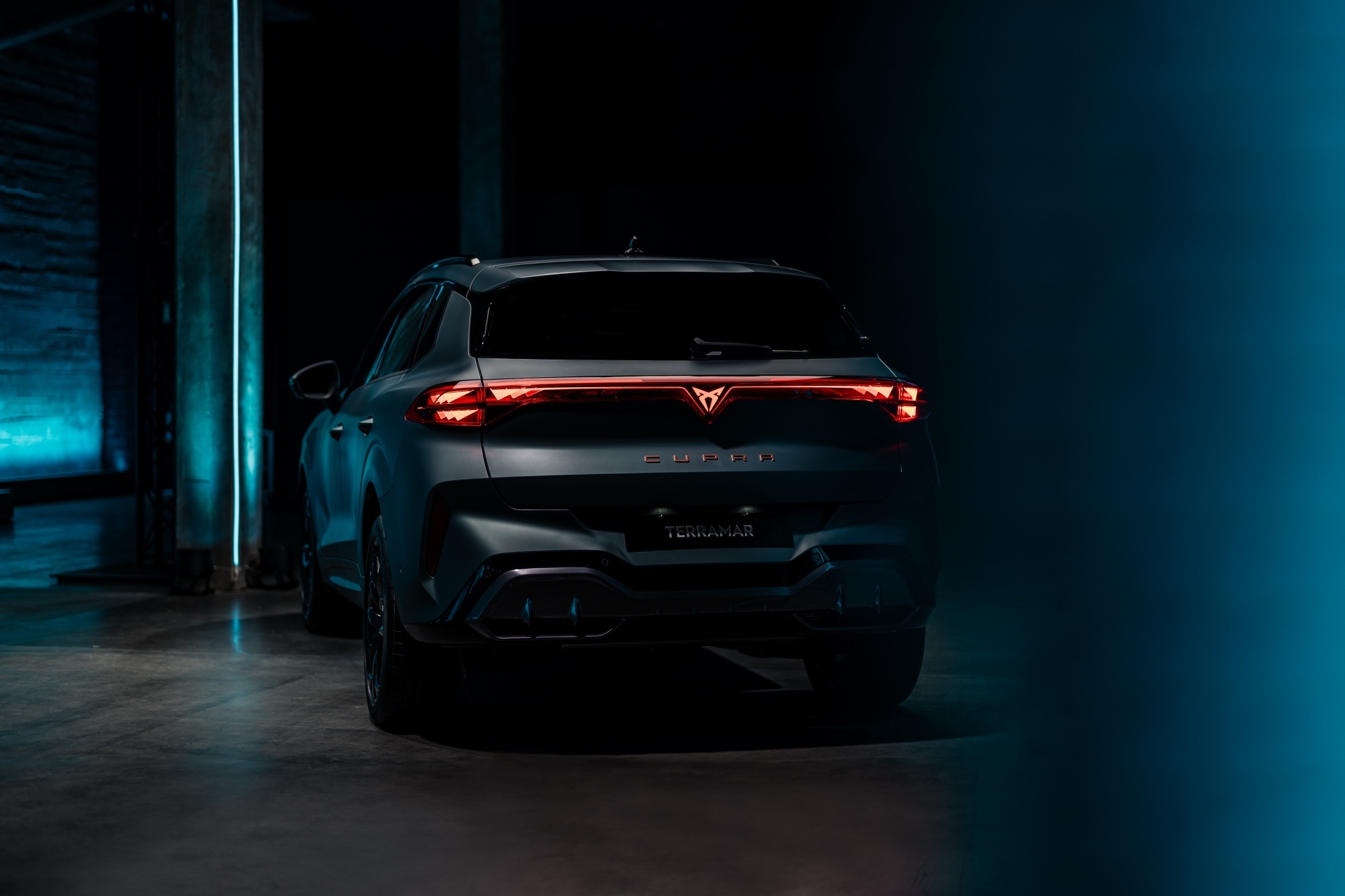 Cupra Terramar tył