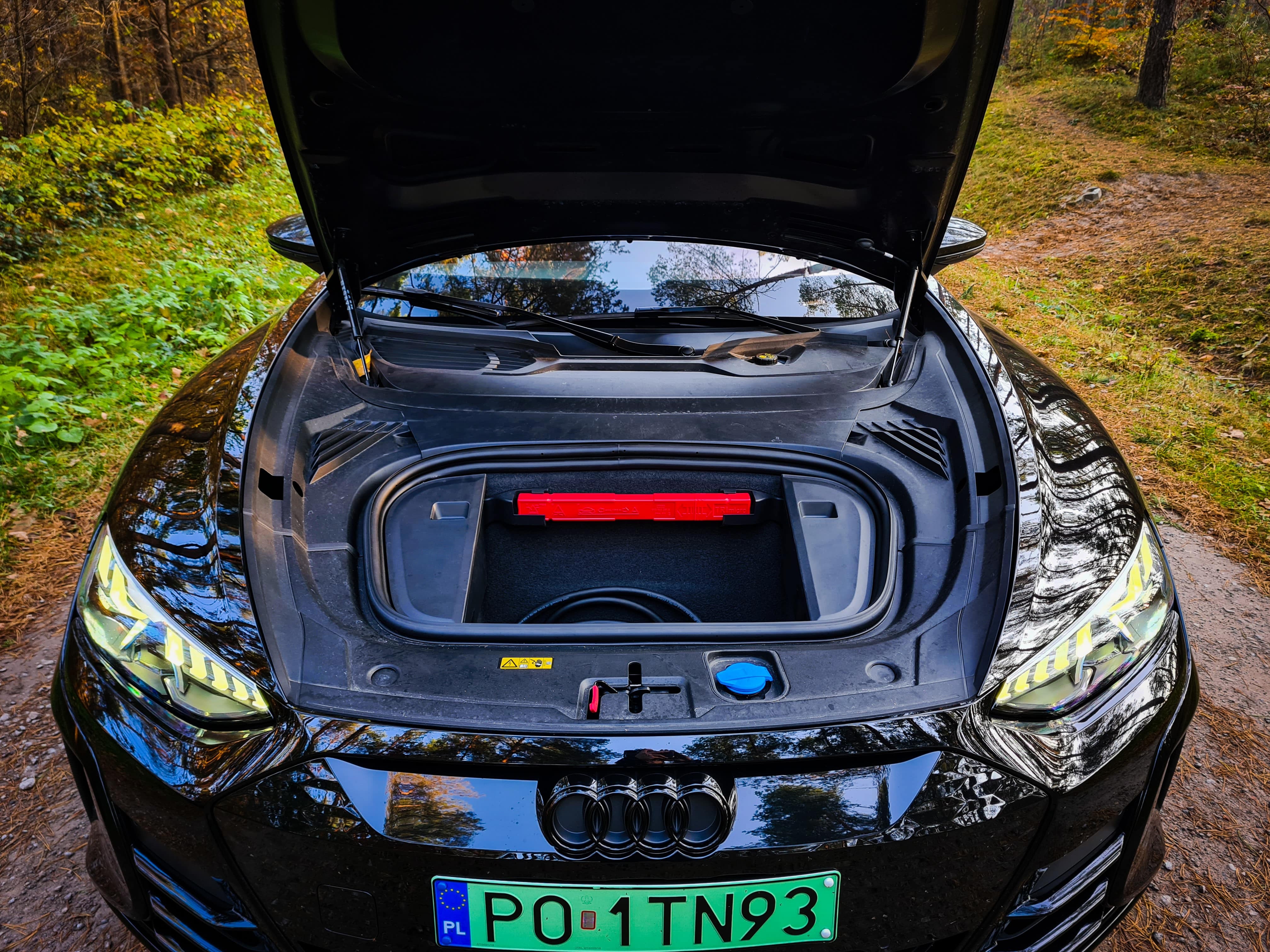 Audi RS e-tron silnik