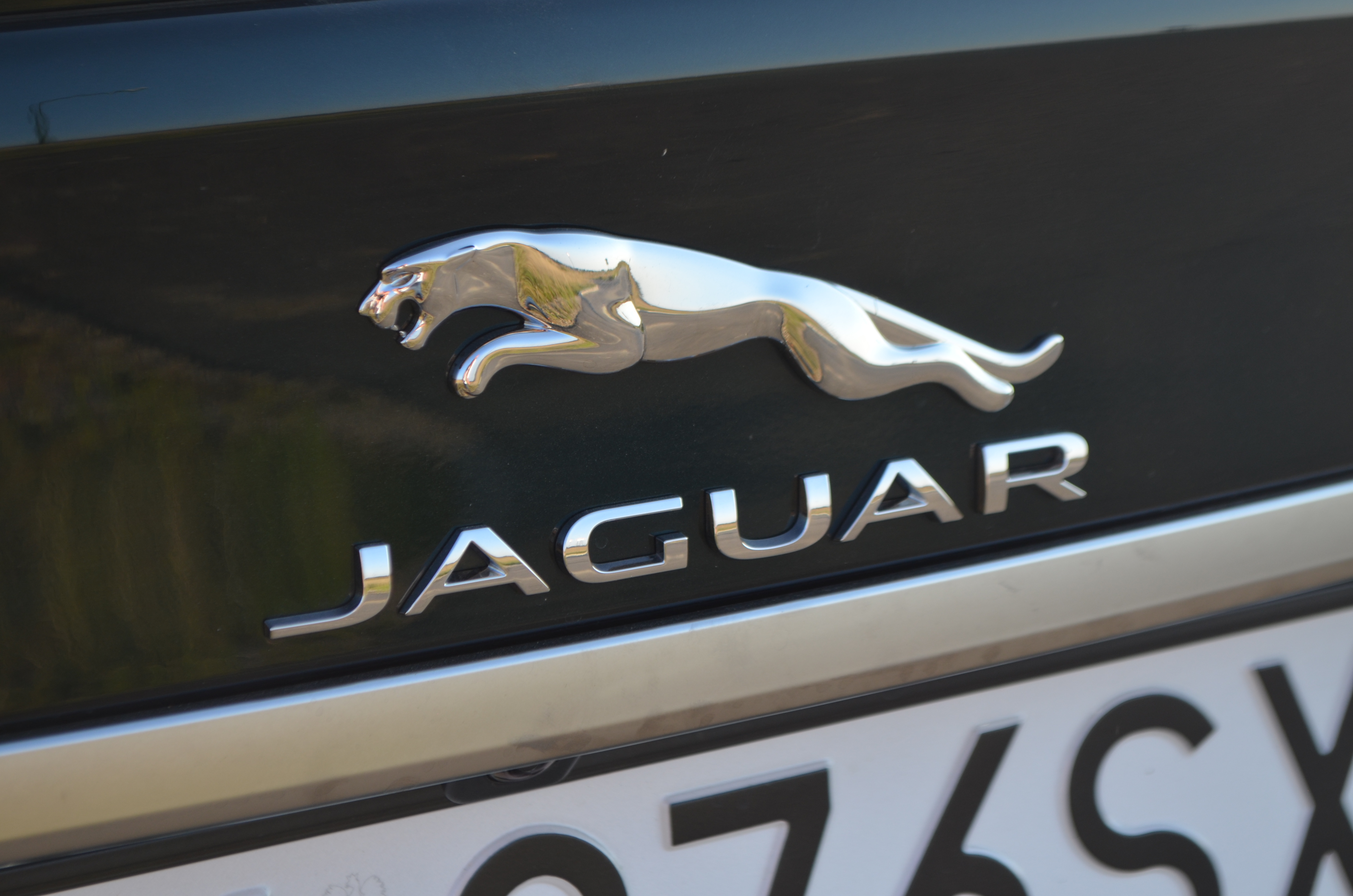 Jaguar - detal