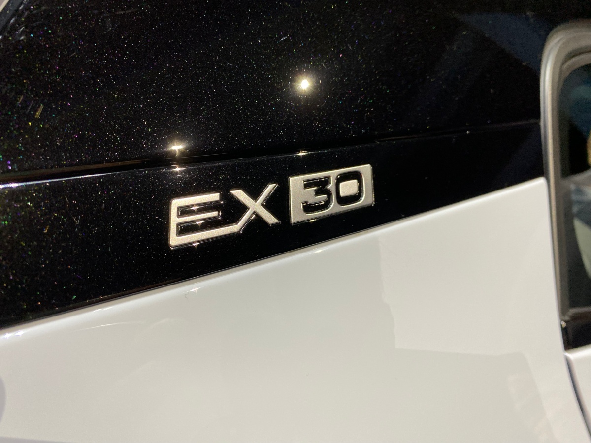 EX30 detal