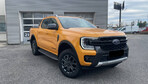 Ford Ranger Wildtrak 4x4 A10 2.0 205KM Pick-Up