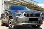 Skoda Kodiaq Edition 130 2.0 TSI 4x4 DSG