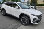 Hyundai Tucson 1.6 T-GDi Executive 2WD