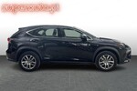 Lexus NX 300h Business Edition AWD