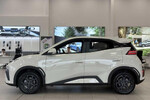 BYD Dolphin Surf Boost