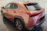 Lexus UX 300h F Sport 2.0 Hybrid Dynamic Force