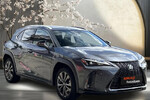 Lexus UX 250h GPF F Sport Design 2WD
