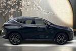 Lexus NX 350h Omotenashi AWD