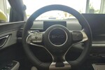 BYD Dolphin Surf Comfort