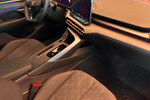 Cupra Terramar VZ 2.0 TSI DSG