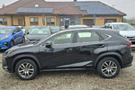 Lexus NX 300h Elegance Optimum AWD