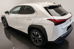 Lexus UX 300h Business 2.0 Hybrid Dynamic Force
