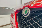 Alfa Romeo Stelvio 2.9 Bi Turbo V6 Quadrifoglio Q4