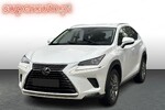 Lexus NX 300h Business Edition AWD