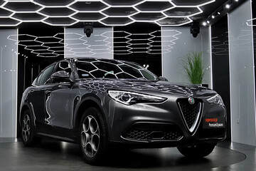 Alfa Romeo Stelvio 2.0 Turbo Q4 aut