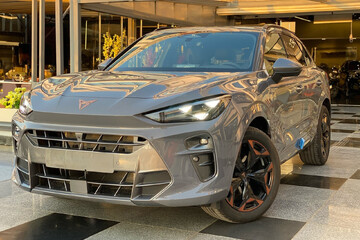Cupra Terramar 2.0 TSI DSG 4Drive