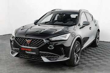 Cupra Formentor 2.0 TSI 4Drive DSG