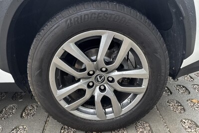 Lexus NX 300h Business Edition AWD