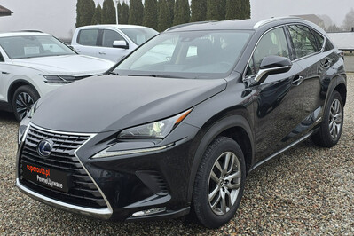 Lexus NX 300h Elegance Optimum AWD