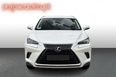 Lexus NX 300h Business Edition AWD