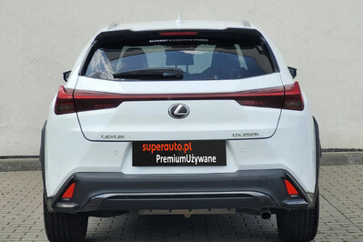 Lexus UX 250h GPF F Sport Design 2WD