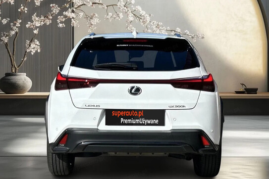 Lexus UX 300h F Sport Design