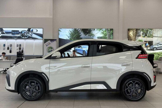 BYD Dolphin Surf Boost