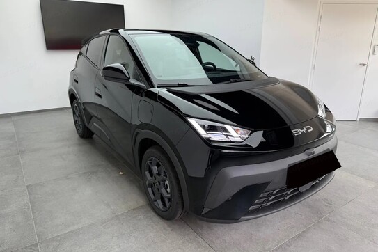 BYD Dolphin Surf Boost