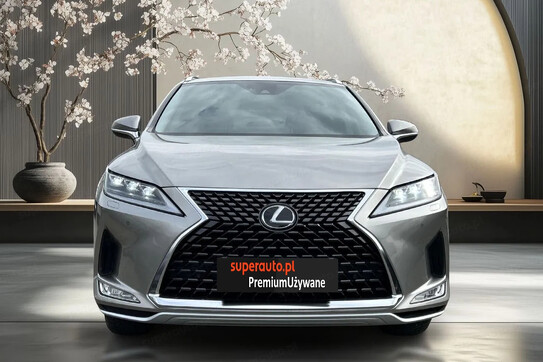 Lexus RX 300 Business Edition