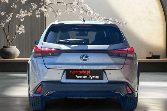Lexus UX 250h GPF F Sport Design 2WD