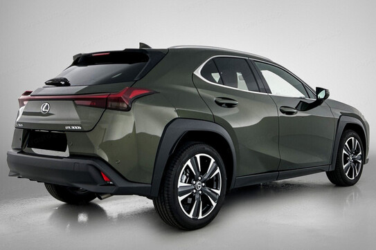 Lexus UX 300h Business 2.0 Hybrid Dynamic Force