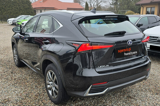 Lexus NX 300h Elegance Optimum AWD