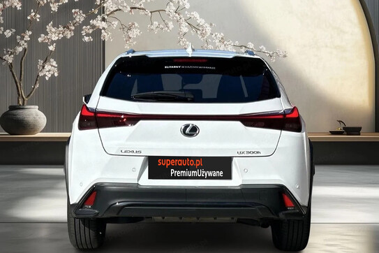 Lexus UX 300h F Sport Design