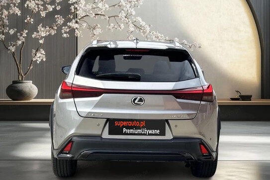 Lexus UX 250h GPF F Sport Design 2WD