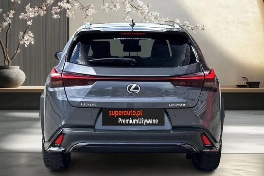 Lexus UX 250h GPF F Sport Design 2WD